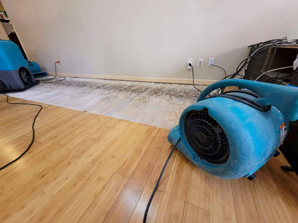 Professional Flood Damage Cleanup technician working in Mohler, WA